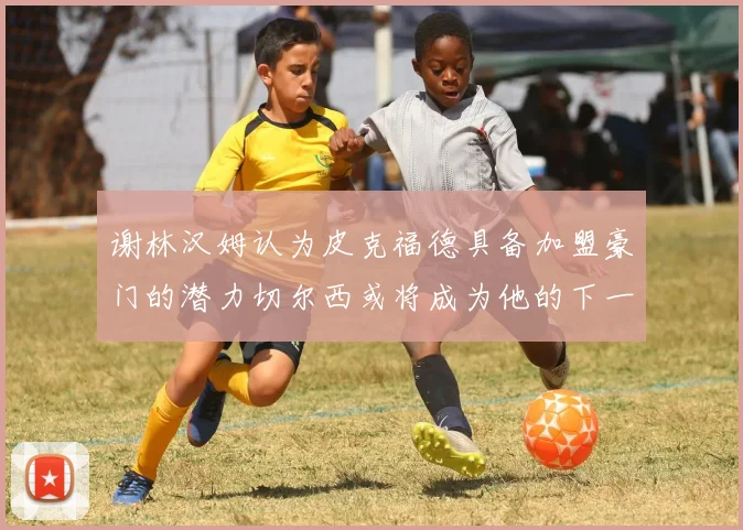 谢林汉姆认为皮克福德具备加盟豪门的潜力切尔西或将成为他的下一个选择